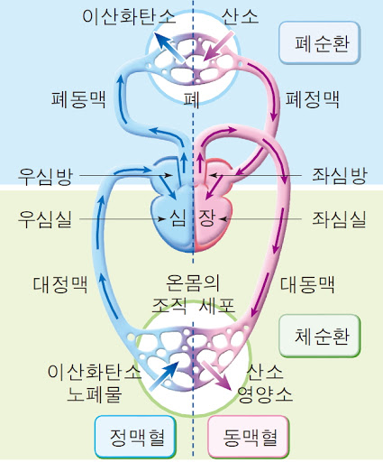 c9b8b2bdd84bc26160a3cf9e34e368bc_1613719410_1473.jpg