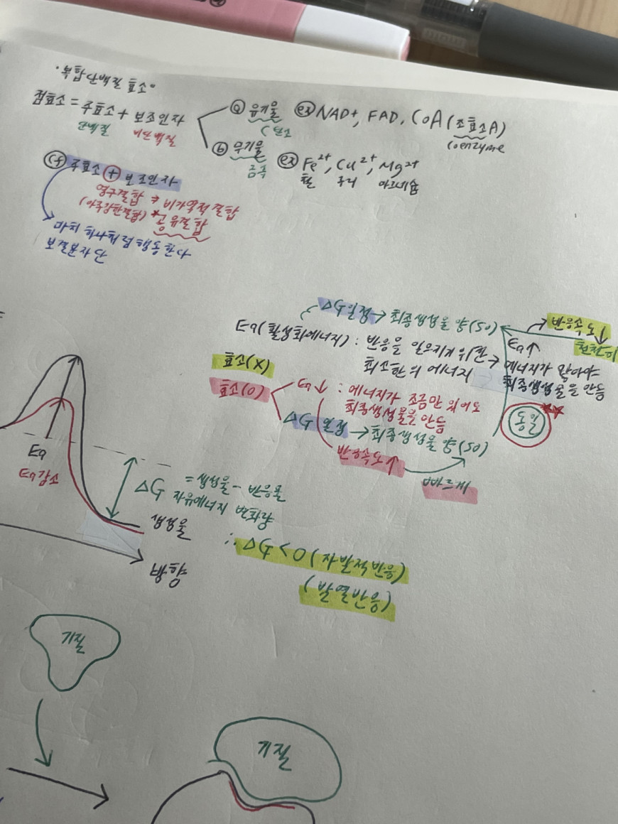 fb7421029483999ff549ff840d835463_1629468646_3111.jpeg