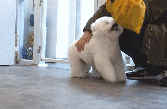 7e1ab28af4432d3b042055023fdc35a8_1643357881_6159.gif