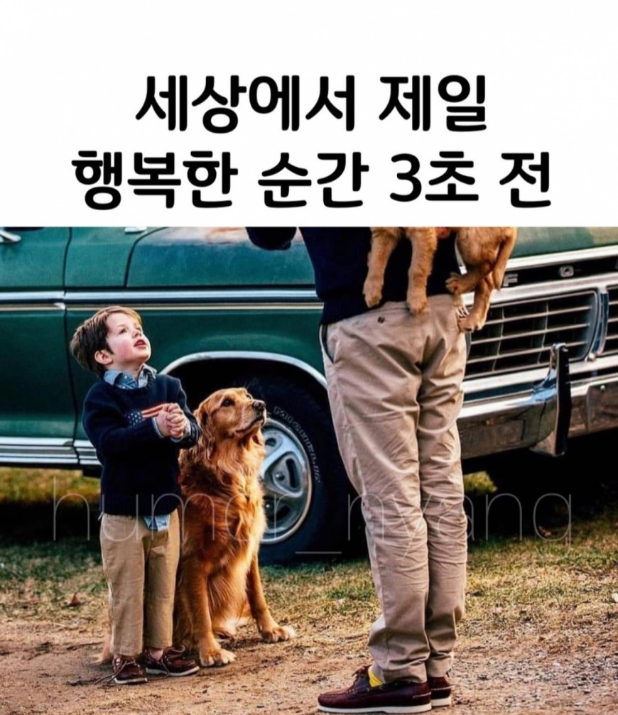 ae1f98e580707698aba733dded5e9dae_1641484813_6971.jpg