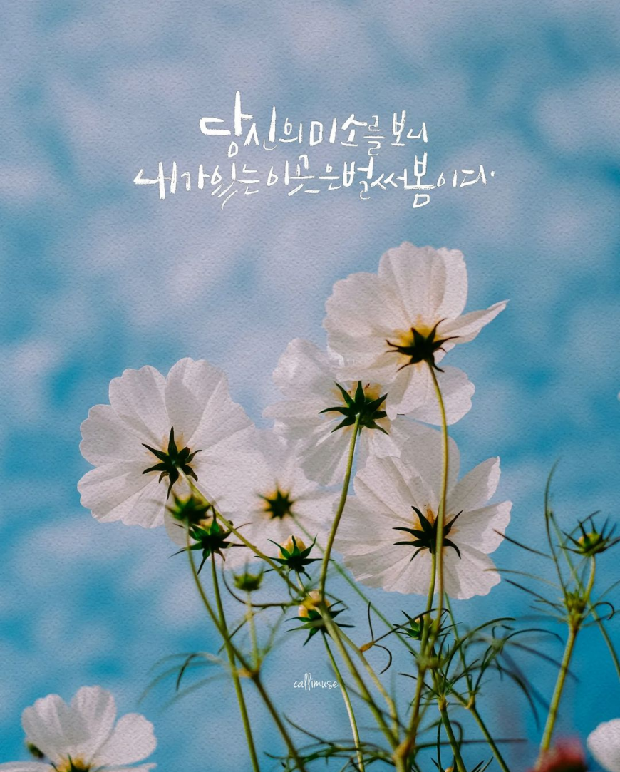 9a909f844fb53936dc3a96d135ef20ea_1647052276_1605.png