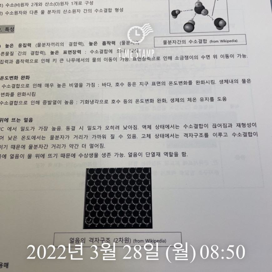 e09bd89135b1c06a37230606293154e4_1648425062_8501.jpeg
