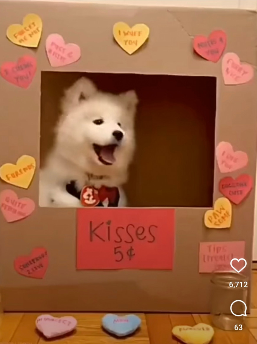 7623037a5d3d55ff1f29365fc58af77d_1650528987_0631.jpg