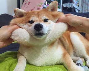 02e9f7c5e7a7ec7bc19bb3138ca29c3b_1655044002_9542.jpg