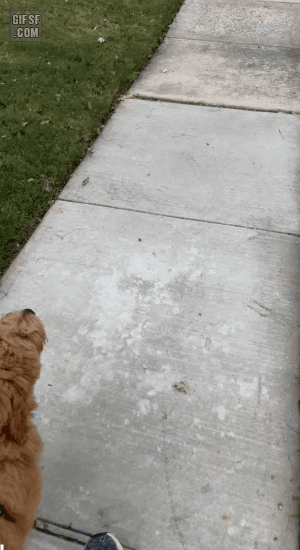 4eedc266b04f532850706f53dff7a6ab_1655574547_0666.gif