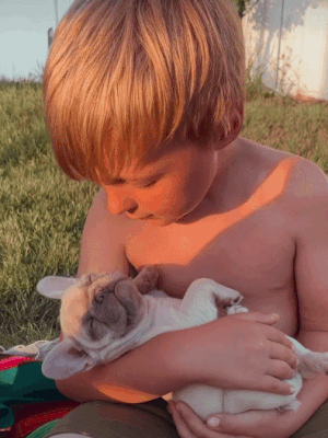 612cf8860a646c236f6772698ef61b52_1659273919_9073.gif