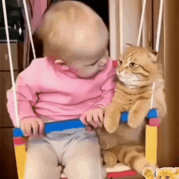 aa6422e1d84d4273c54b25c73a4063df_1658590561_7971.gif