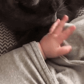 b7431548f7e41a1360ffb72d81d9e938_1658591572_2681.gif