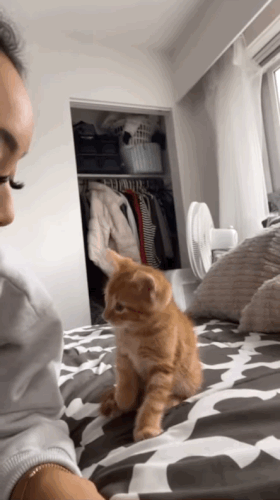 ba16bb7542cd84b3cb1e8311b798b96e_1656665074_8383.gif