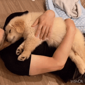 0e7d5529ab065698f0abea6a09490b65_1660819679_9783.gif