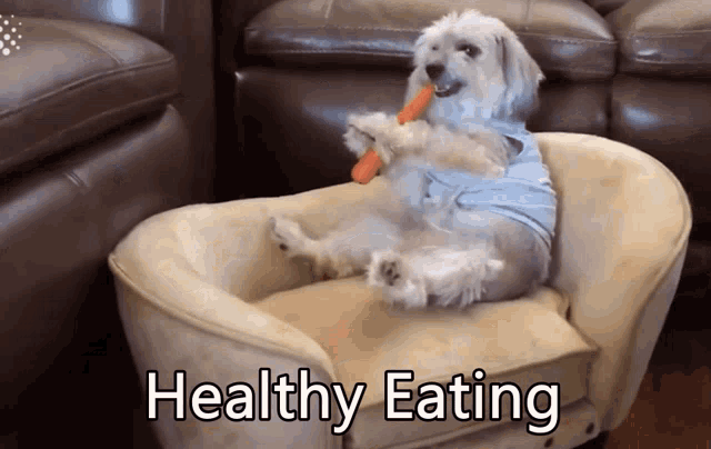 0ef2899c65e2ab66b11bb11ebd44259a_1659665142_7416.gif