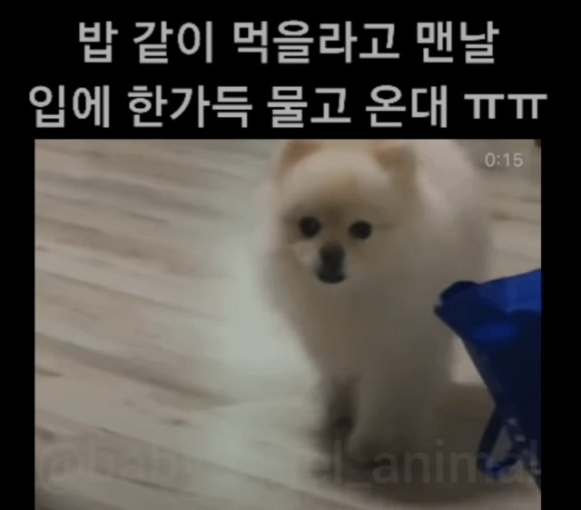 0ef2899c65e2ab66b11bb11ebd44259a_1659666009_5568.gif