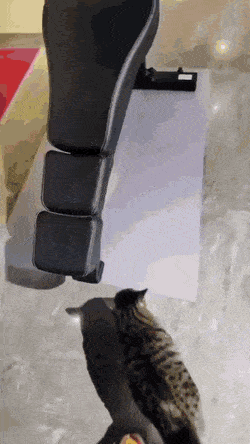 0ef2899c65e2ab66b11bb11ebd44259a_1659666452_7191.gif