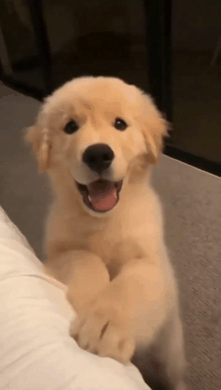 58bfc467a0d640e2085d0806b535a910_1660646476_3617.gif