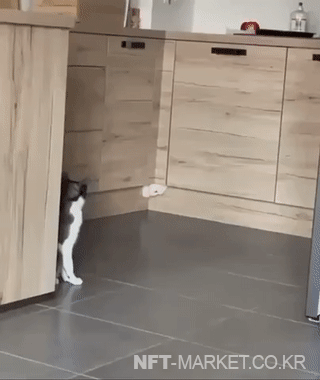 6290b7a652615c872c9d98b751db57a8_1661061236_6536.gif