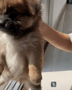 652301b4d74f0c228ce5e2e021aaf625_1659370003_9453.gif