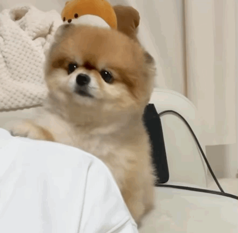 6e7260dc436b78dc5daacc828053ac9d_1661848993_5205.gif