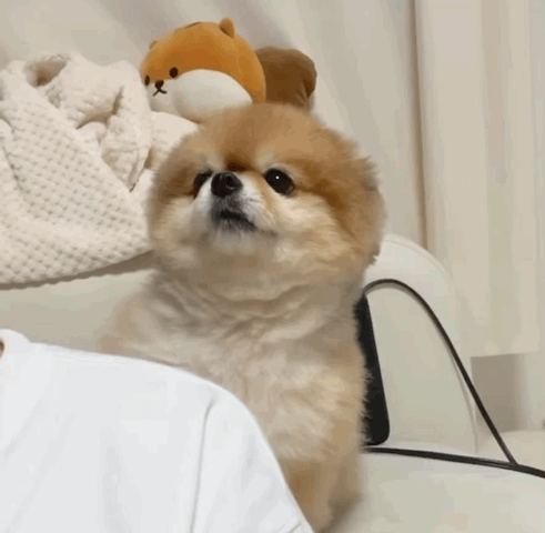 6e7260dc436b78dc5daacc828053ac9d_1661848996_9126.gif