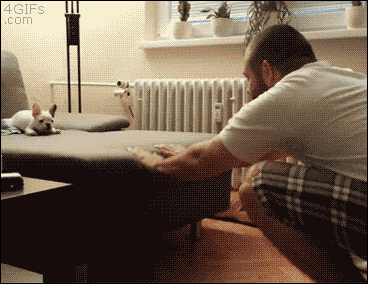 7748c72bd412e483a4f9674296388bb9_1659406413_5774.gif