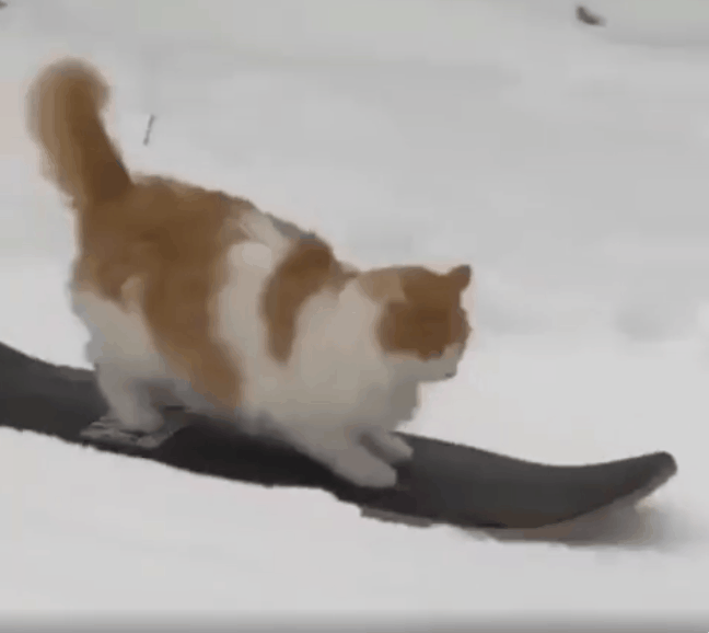 854712b3d996ddf1b2ae3bc3077c2e43_1661137499_2246.gif