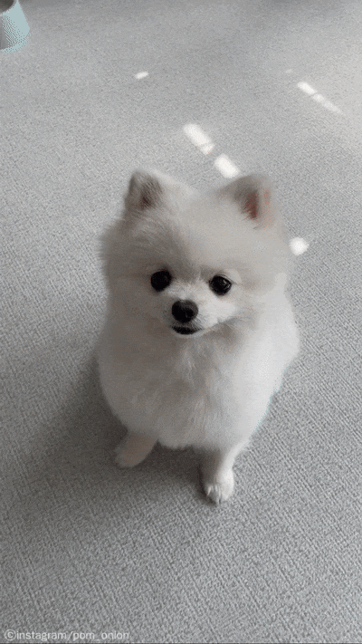 b612cf99603a6655d3649c0cdf68b54e_1660907540_3283.gif