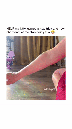 b7b20b2bb1151ac5ca8de348971246b2_1661931107_331.gif