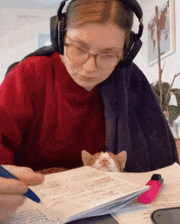 daa3fb593b7aed446ee078712a45a077_1659437965_9774.gif