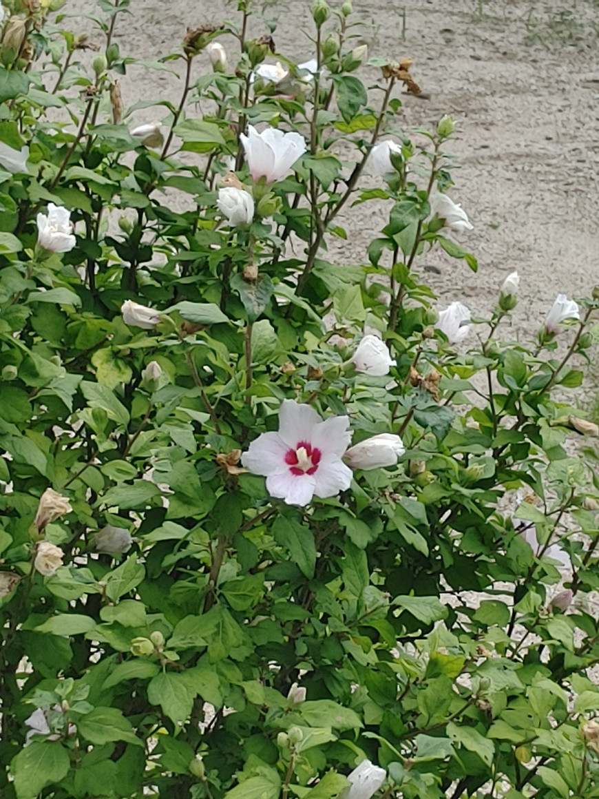 0b29fa0d794bf1cd2f65926b0b4c8002_1661150692_6461.jpg