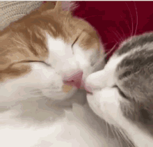 7a2735d6cd7522495c84962c3045f8cd_1663859351_6252.gif