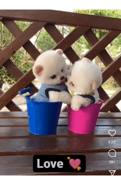 60a913c0bd08f4244b8b5d12a7b4c8ea_1664636421_4095.gif