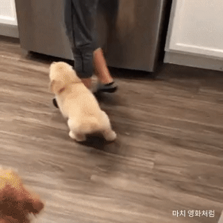 888d9d3f9da84103f820d2c9f3be8f0f_1664698008_654.gif