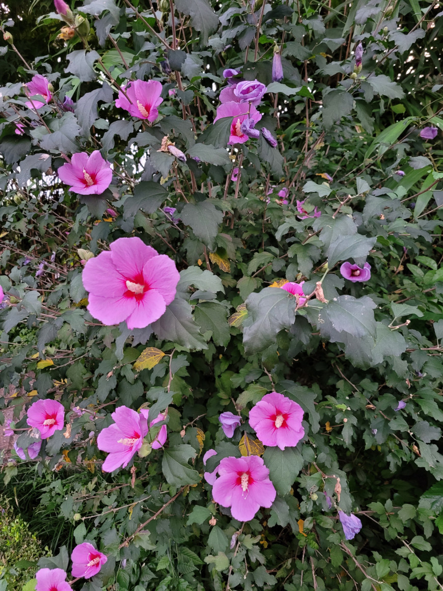 f7e7d9f09a5a504f5501805766fcd5cf_1669377569_1201.jpg