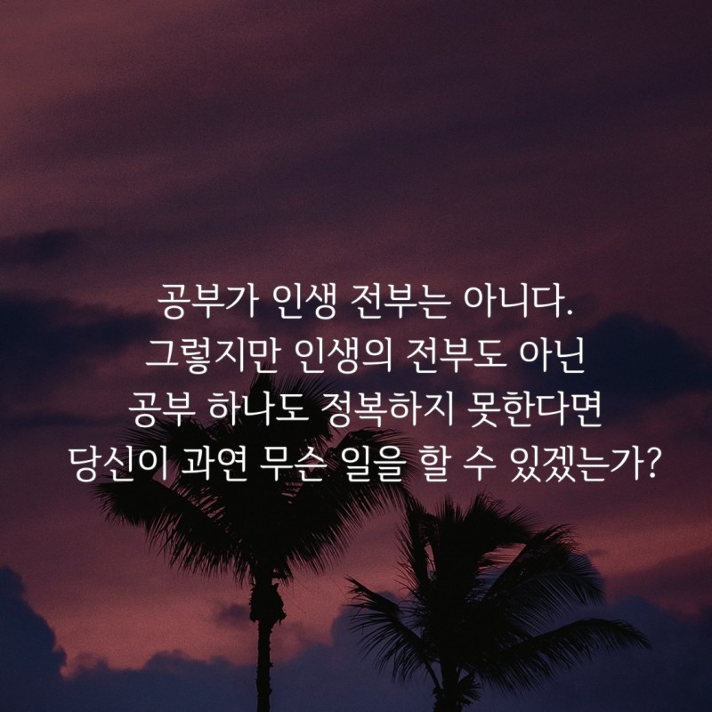 4e8c91de519310f69f95467915f0a933_1672837133_52.jpeg