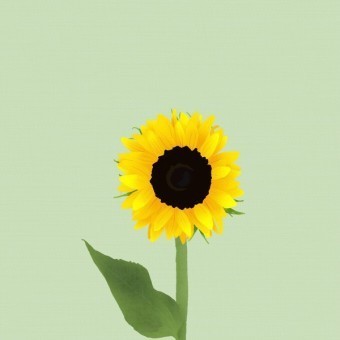4ee3259446ef07e2f5aa9f5749eae931_1690815929_0151.jpeg