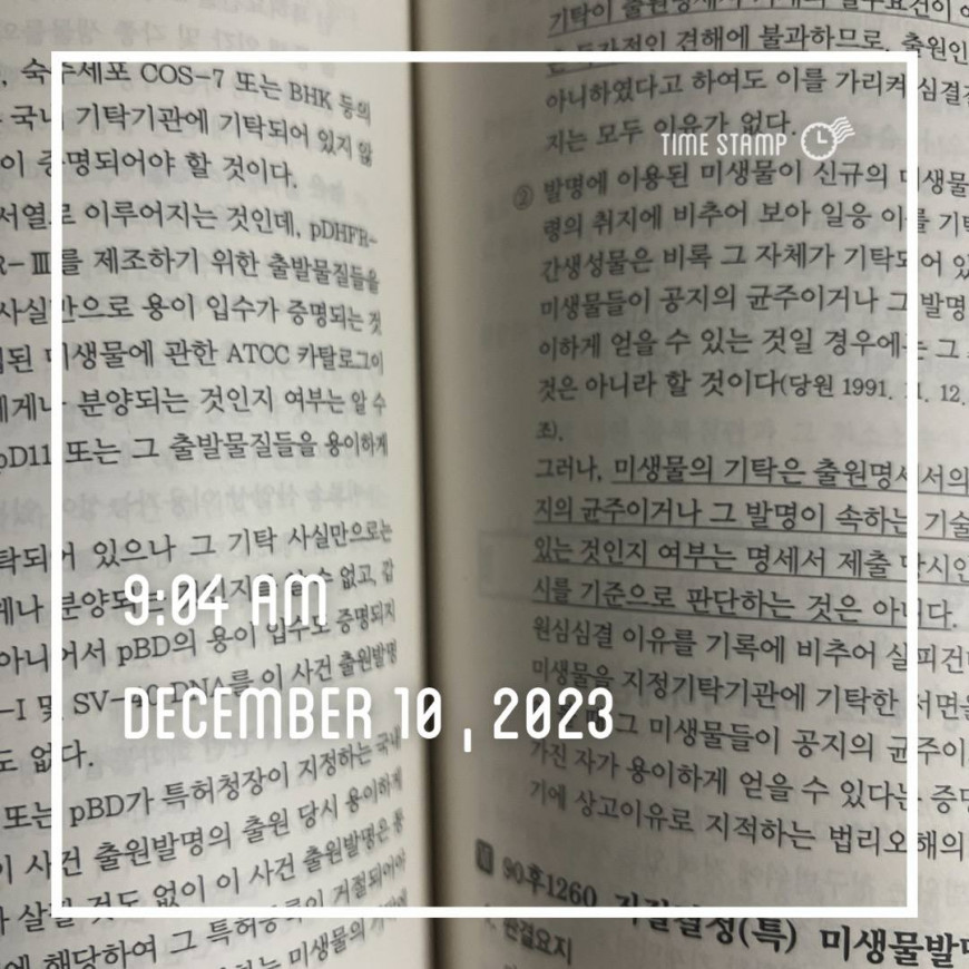 b2d590a9764e6e9359874113d9e9d183_1702205061_0396.jpg