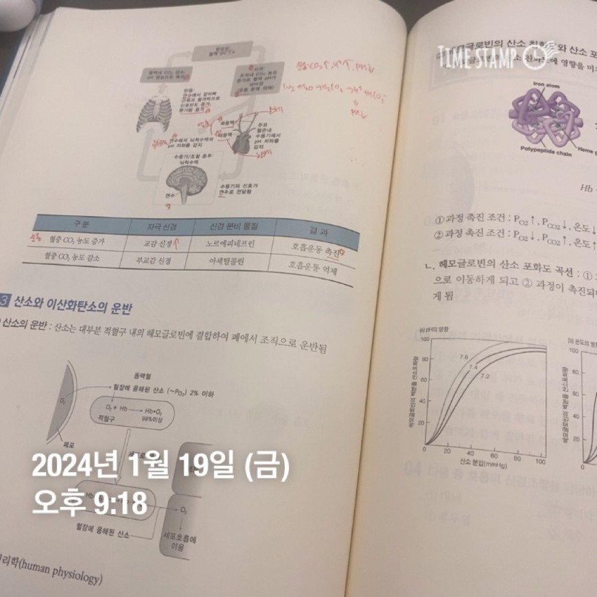 17d2befabfa6514731965fdac6d7d08d_1705666891_7827.jpeg