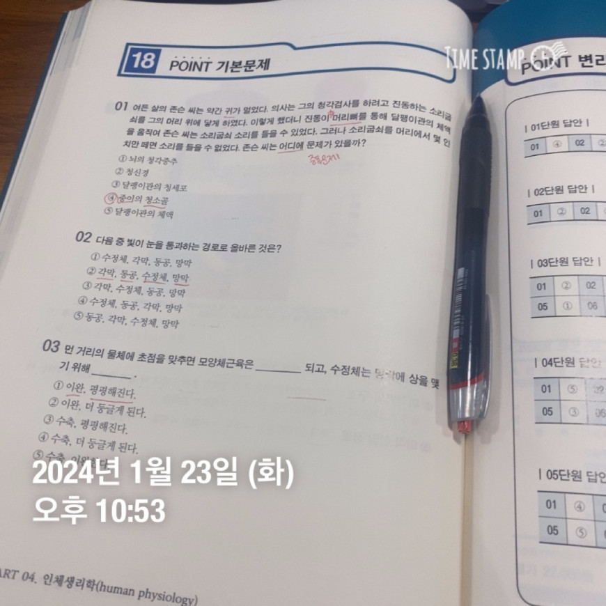 9b85e81f053c809075fa0a8ea355d69a_1706018102_4311.jpeg
