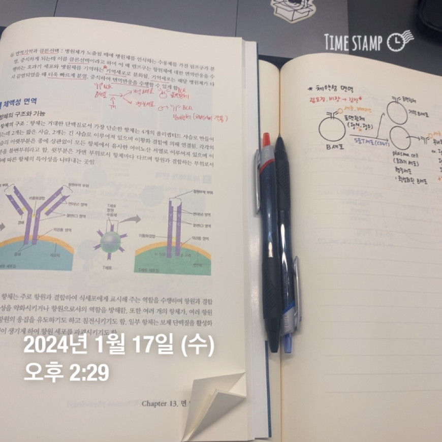 a25162502810cf35cb4609421cdc621b_1705469525_5295.jpeg