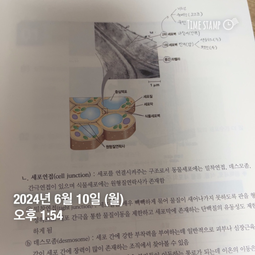 8fe38123ab09e0f557bf26ec2b7d8663_1717993583_6197.jpg