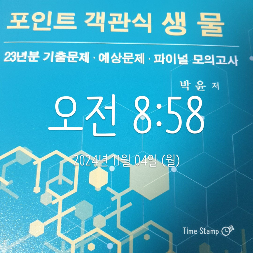 02a5573b9a087679d2253078eaa06d1e_1730807451_7982.jpg