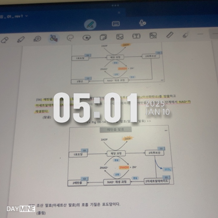 d3335568f8f7634849afbcbf3513d1b8_1736751225_047.jpg