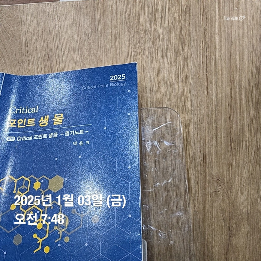 989f4de7876008a86e95ba9ca1eabce8_1736245657_0395.jpg