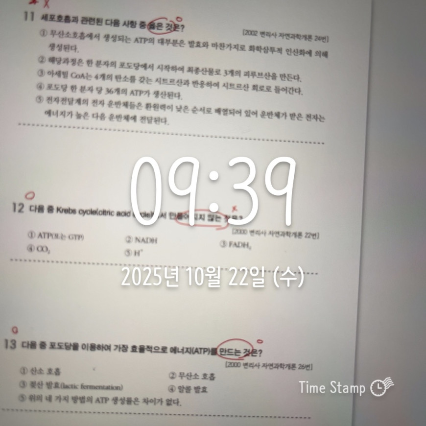 0b3f036c6166c9bb983401ccb16f71c8_1761123159_8976.jpeg