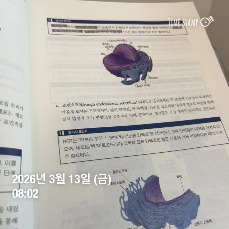 8a01bec79537e5aba2afde71359927ce_1773465430_7452.jpg